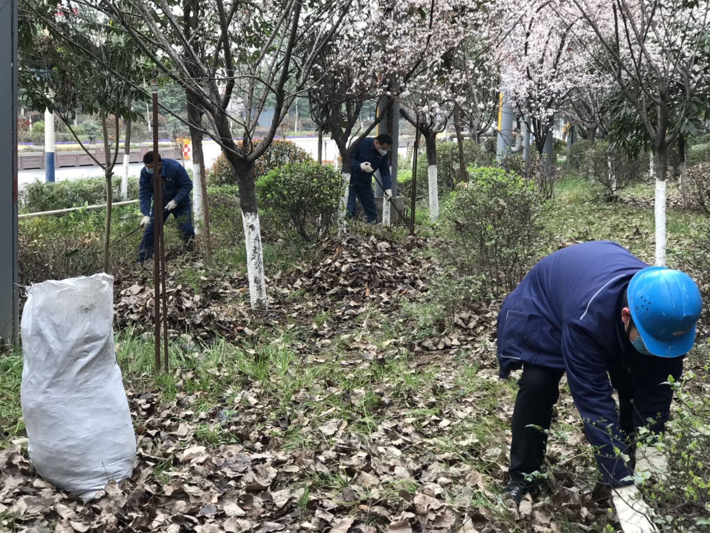 【美麗漢鋼】公司春季綠化美化工作開(kāi)展如火如荼