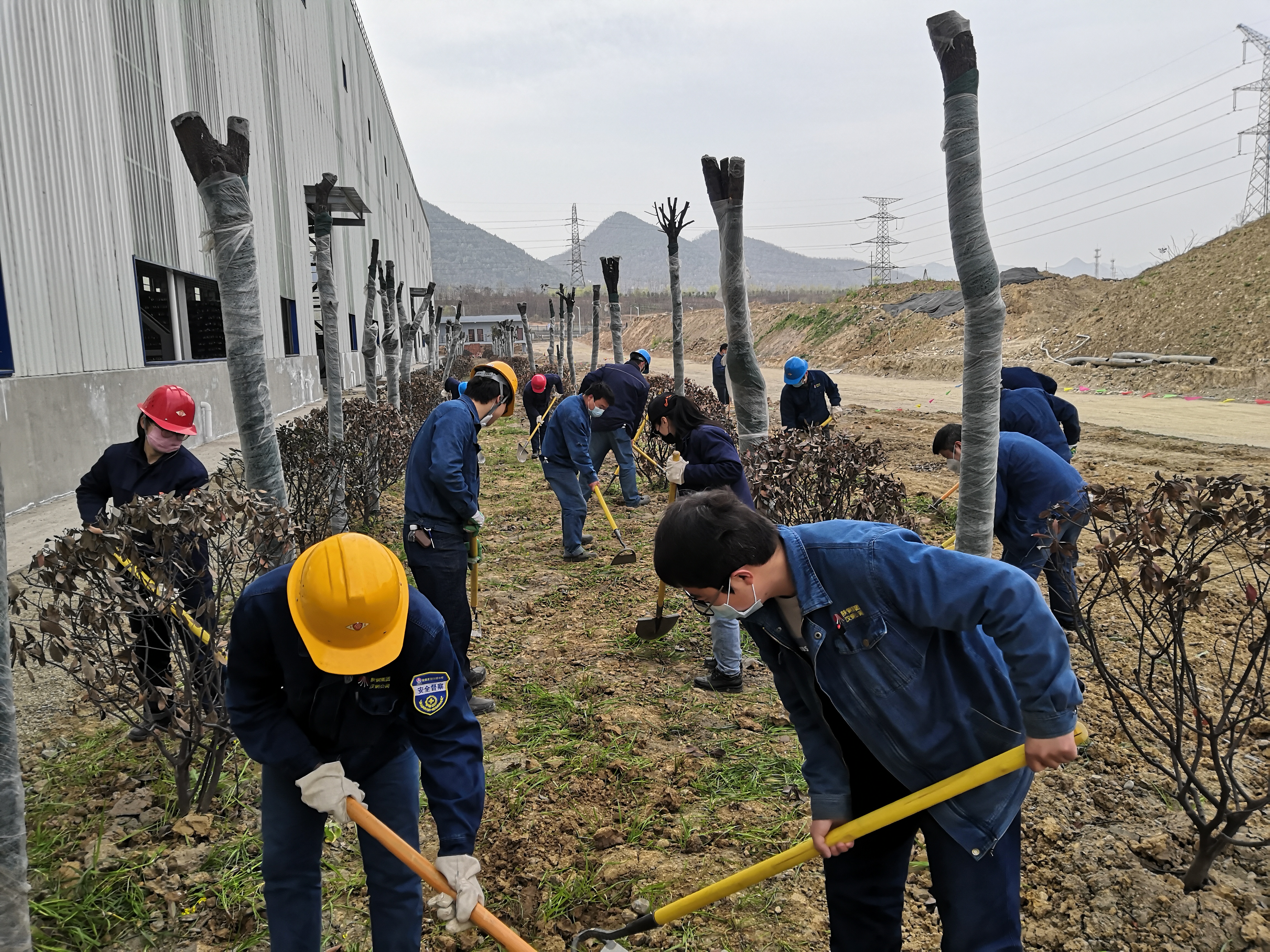 【美麗漢鋼】物流中心積極開展 “植樹節(jié)”主題活動