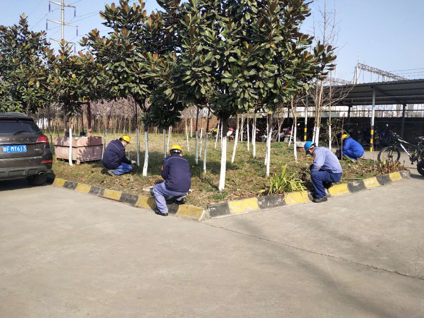 【鋼城文苑】除草護(hù)綠  為春添彩