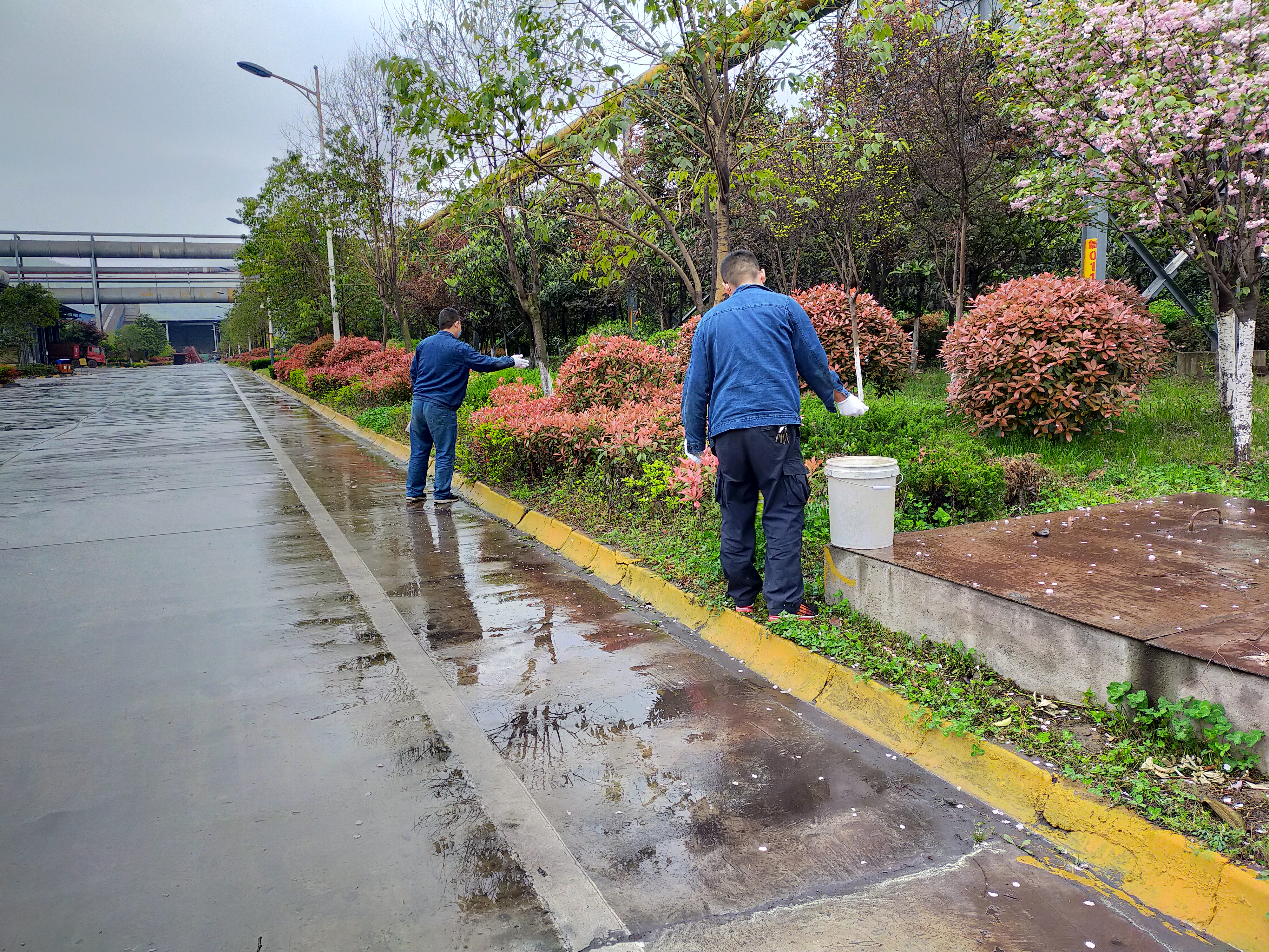 【美麗漢鋼】公司多措并舉 做好春季綠化苗木養(yǎng)護(hù)工作