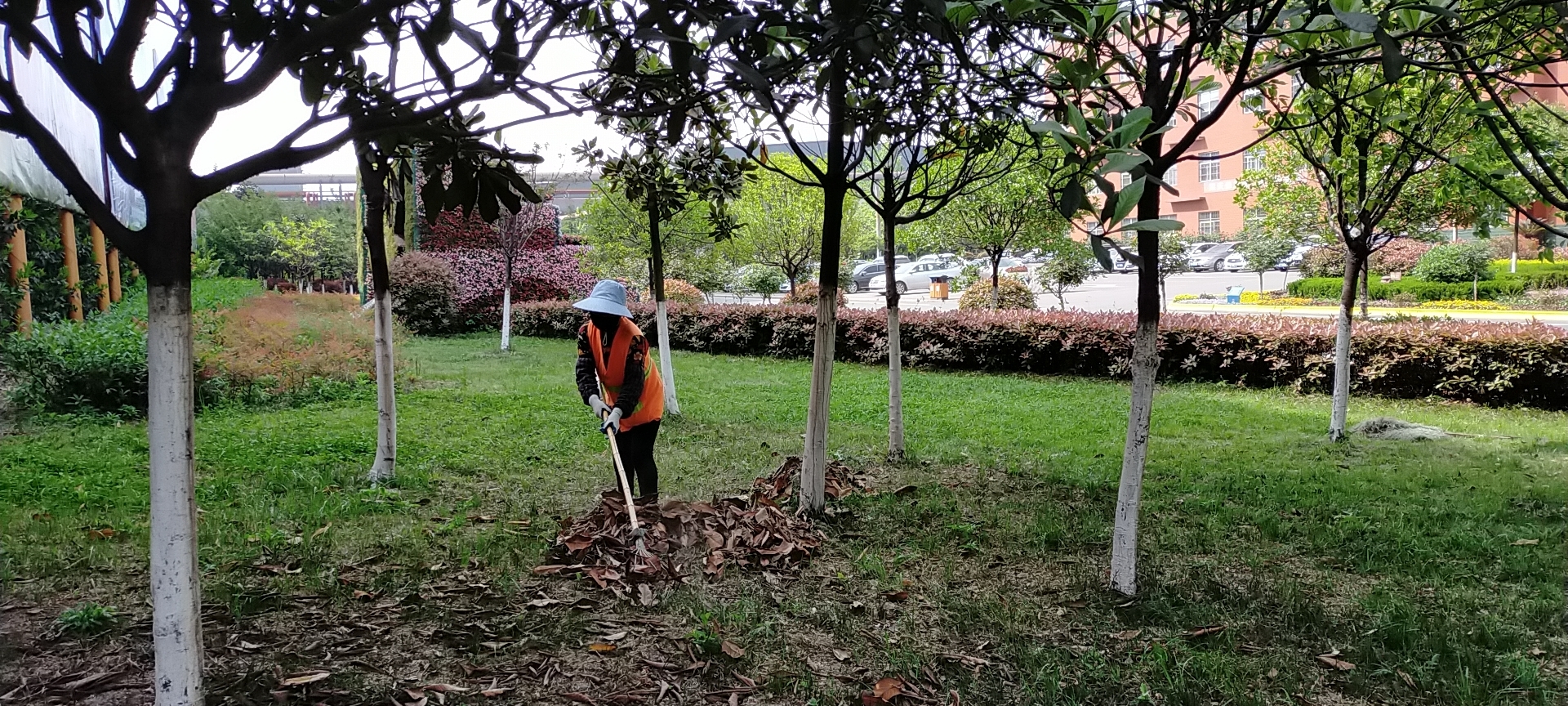 【美麗漢鋼】公司多措并舉 做好春季綠化苗木養(yǎng)護(hù)工作