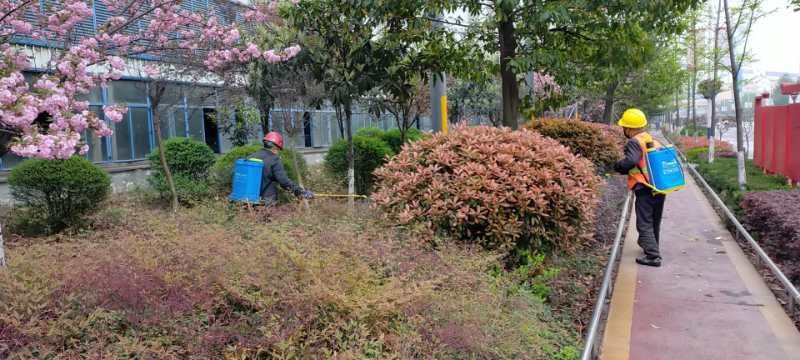 【美麗漢鋼】公司多措并舉 做好春季綠化苗木養(yǎng)護(hù)工作