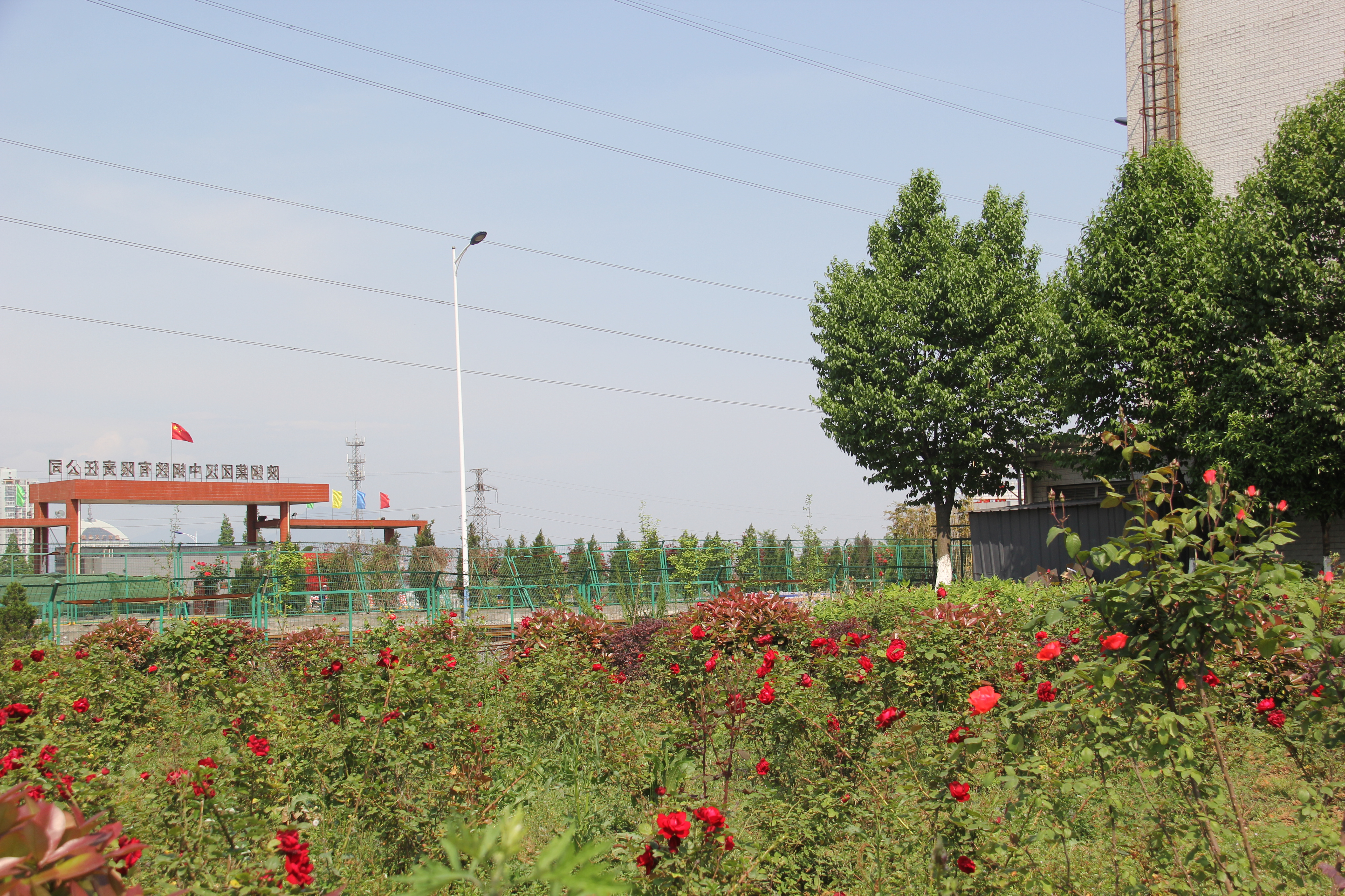 【美麗漢鋼】醉美漢鋼四月天