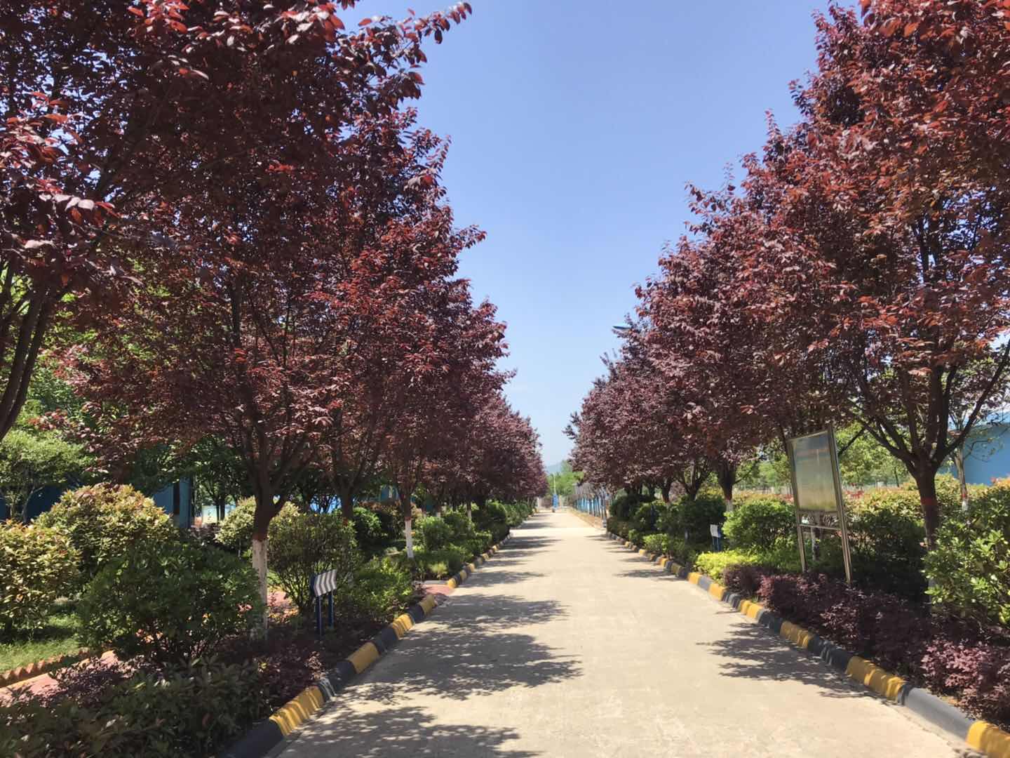 【鋼城文苑】來吧，讓我們伸手感受“漢鋼藍(lán)”